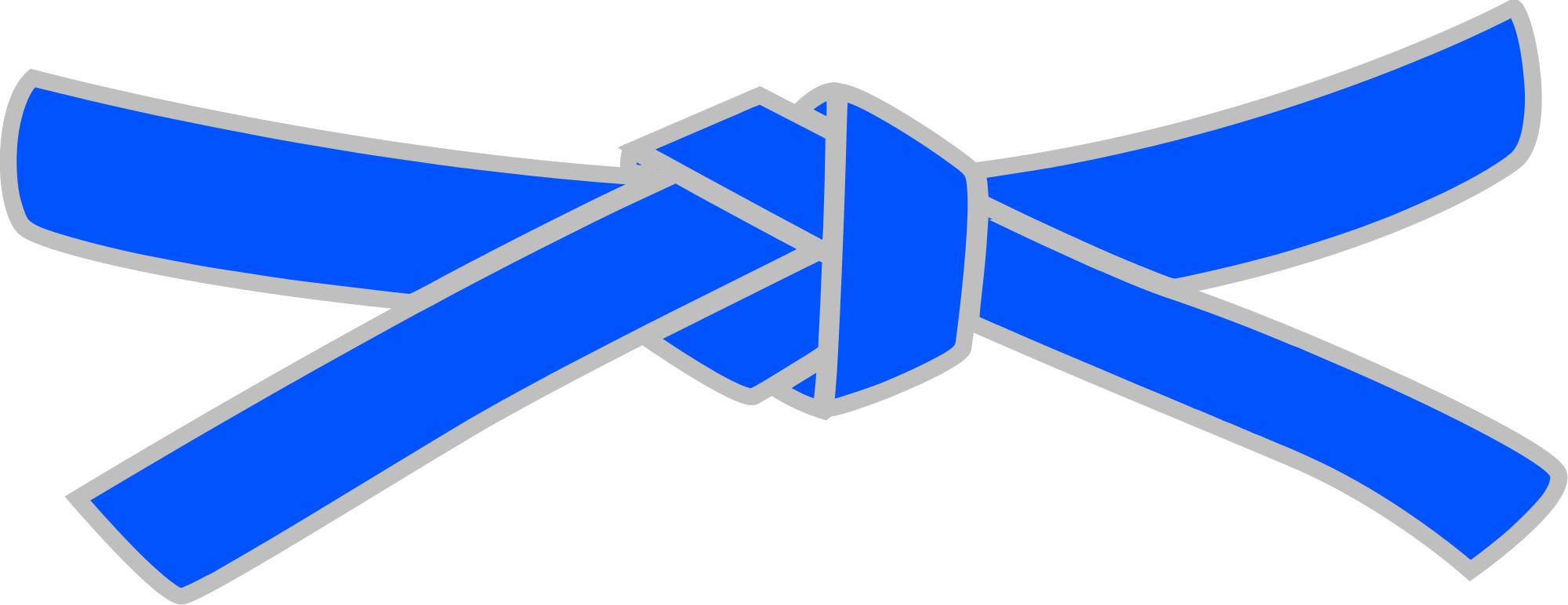 A Blue Ribbon With Grey Border