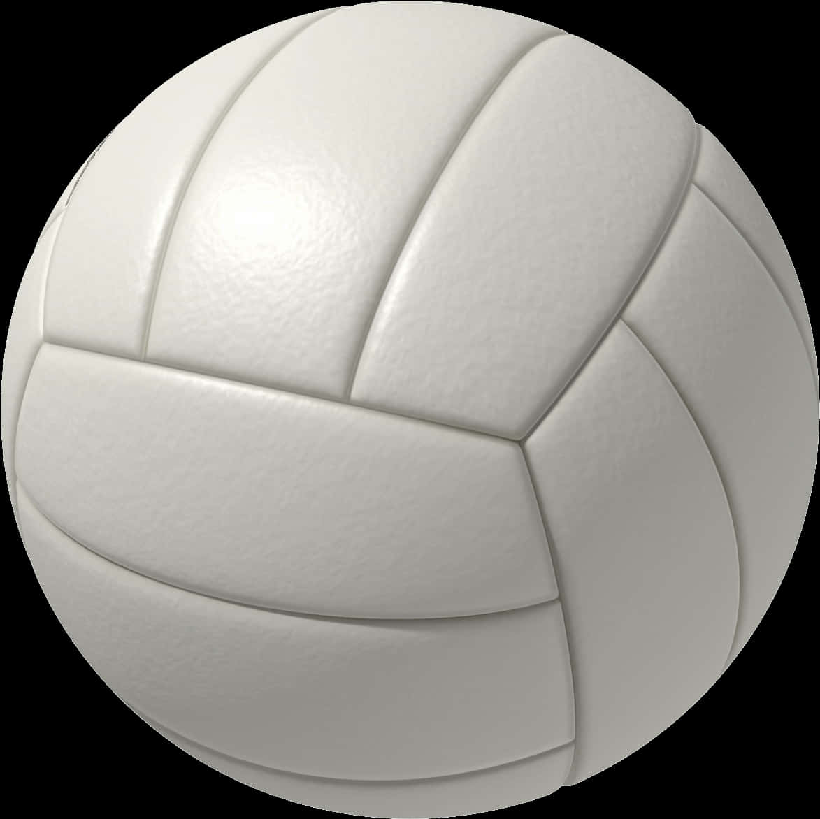 3d White Volleyball