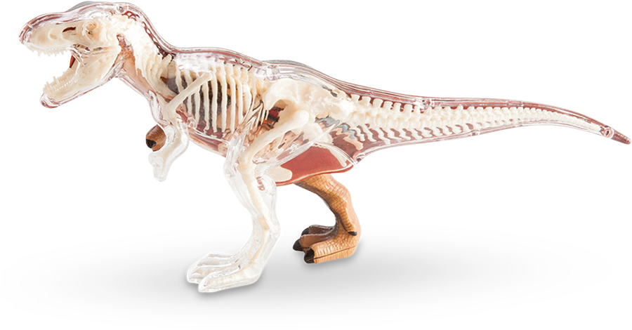 A Plastic Dinosaur Model