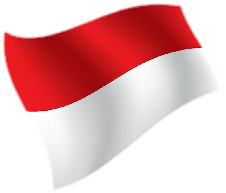 A Red And White Flag