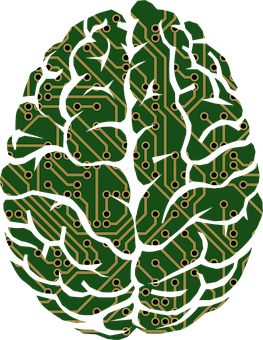 A Green And Yellow Circuit Board Brain