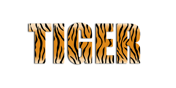 A Tiger Stripes On A Black Background