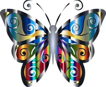 A Colorful Butterfly With Swirls