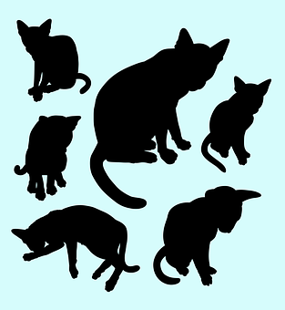 A Silhouettes Of Cats