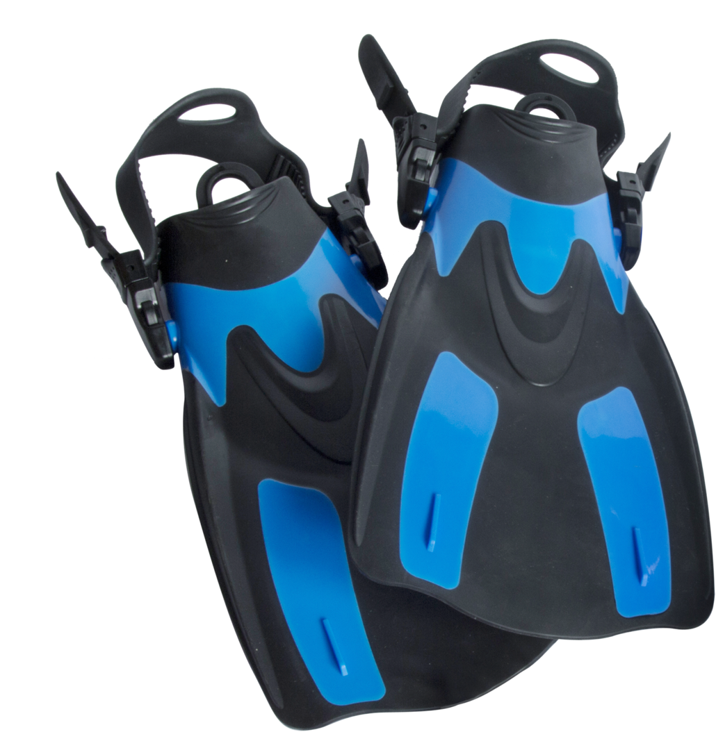 A Pair Of Blue And Black Fins
