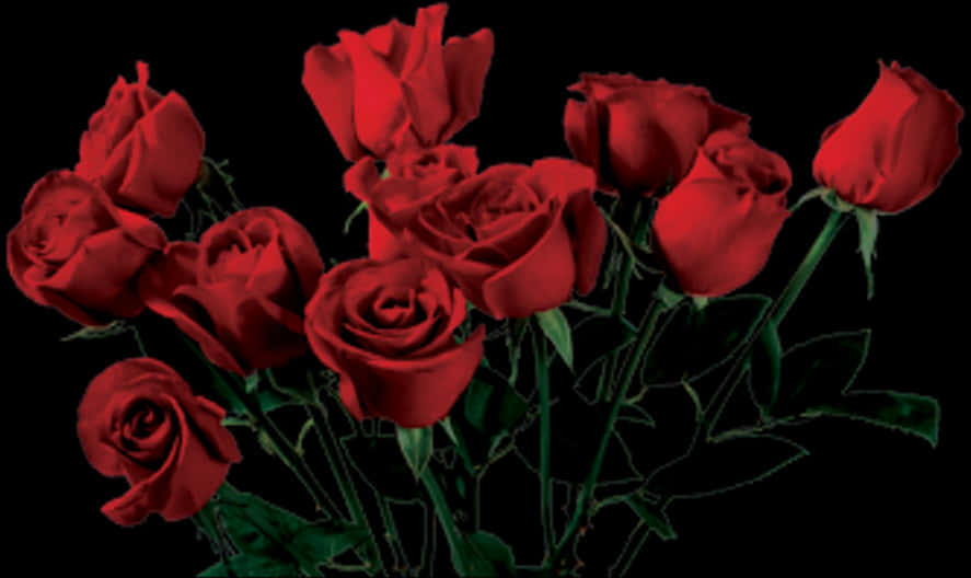A Bunch Of Red Roses
