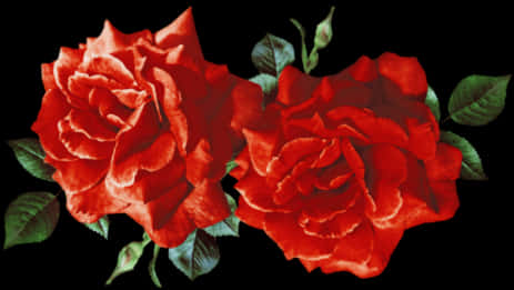 A Close-up Of A Pair Of Red Roses
