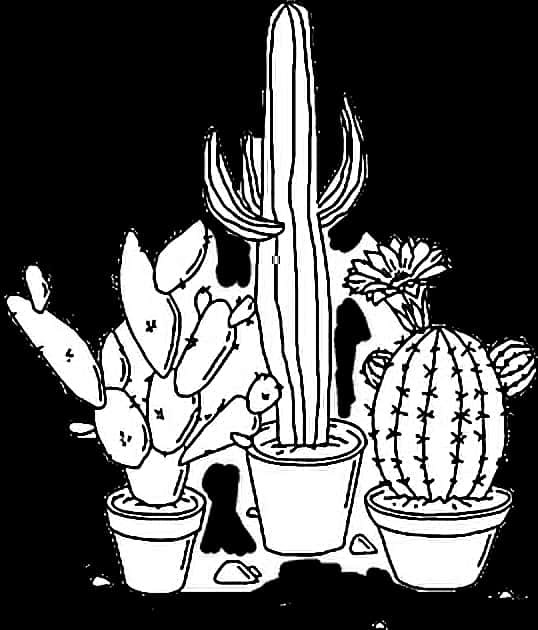 Cacti Aesthetic Stickers