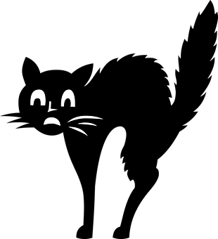 A Cat Face In The Dark