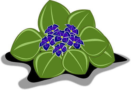 A Plant With Purple Flowers