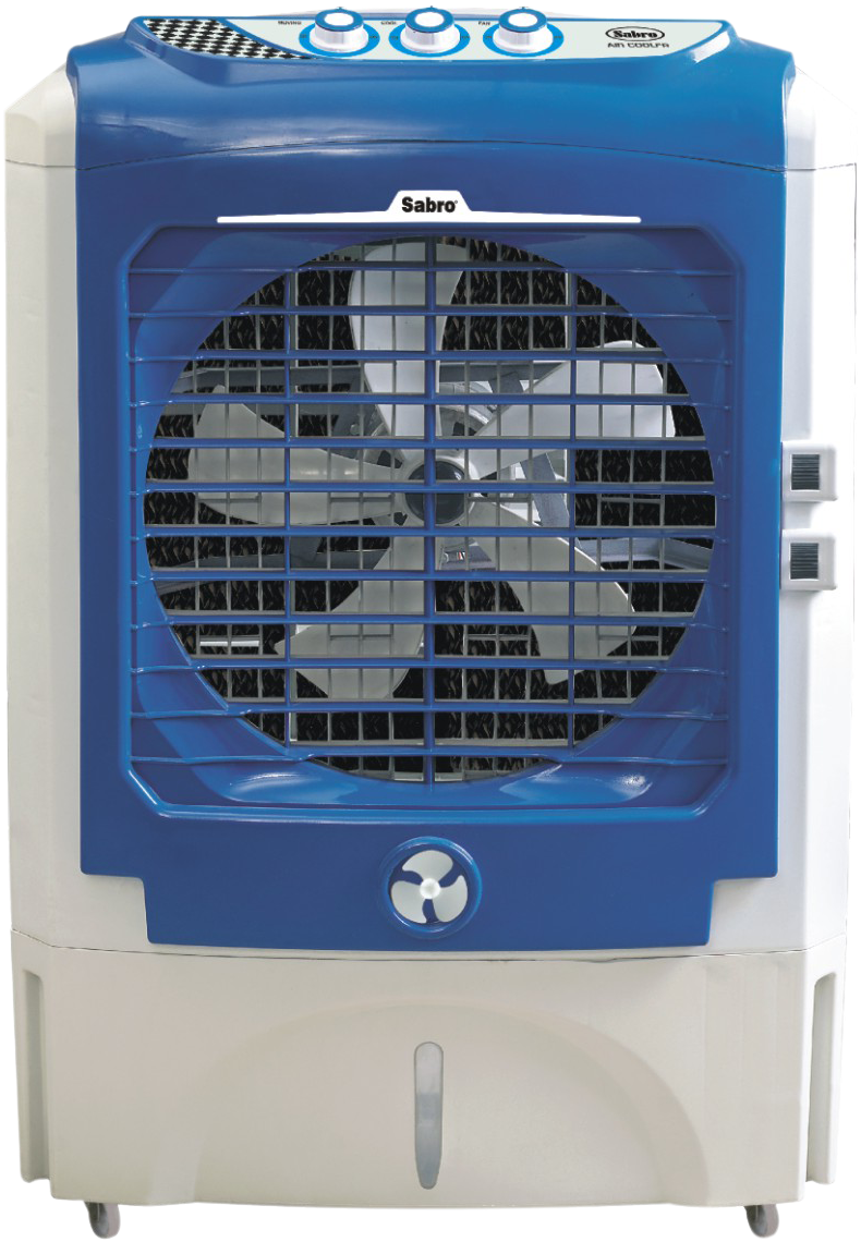 A Blue And White Fan