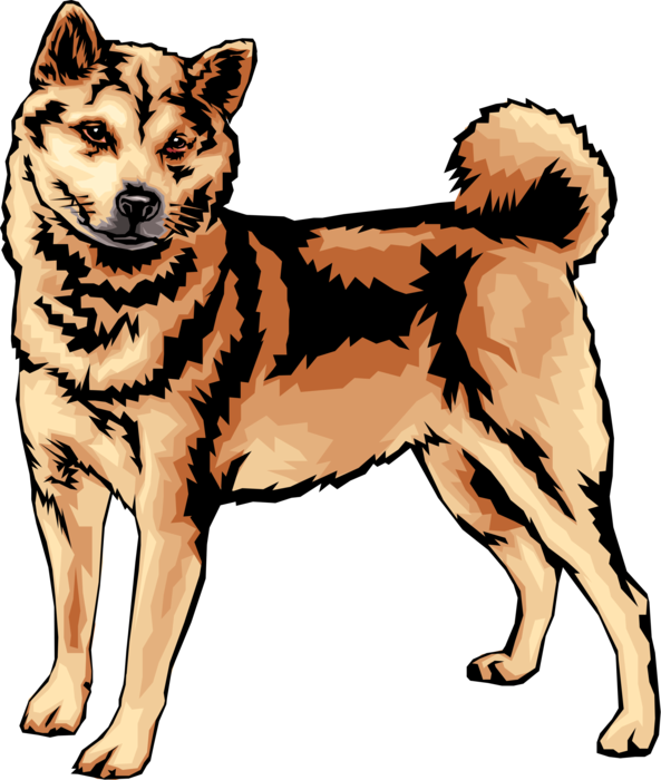 Akita - Shiba Inu Dog Vector, Hd Png Download