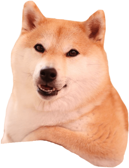 Akita - Shiba Inu Without Background, Hd Png Download