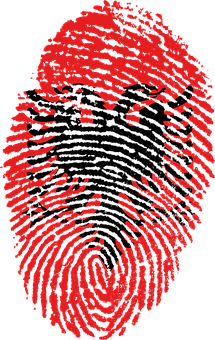 A Black Eagle With Two Heads On A Red Background