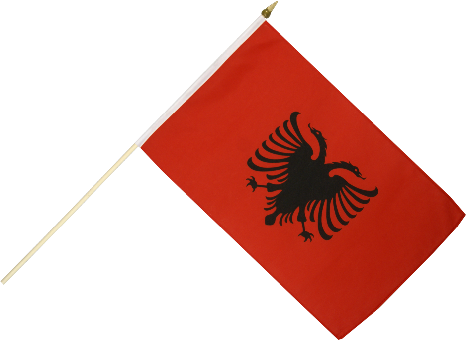 A Red Flag With A Black Bird On It
