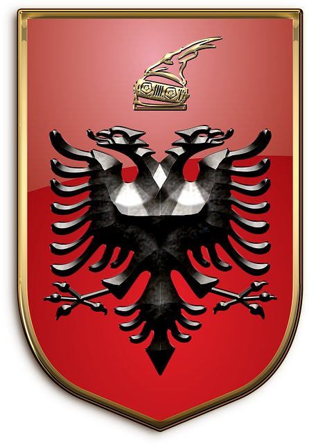 A Black Eagle On A Red Shield