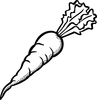 A White Carrot With A Black Background