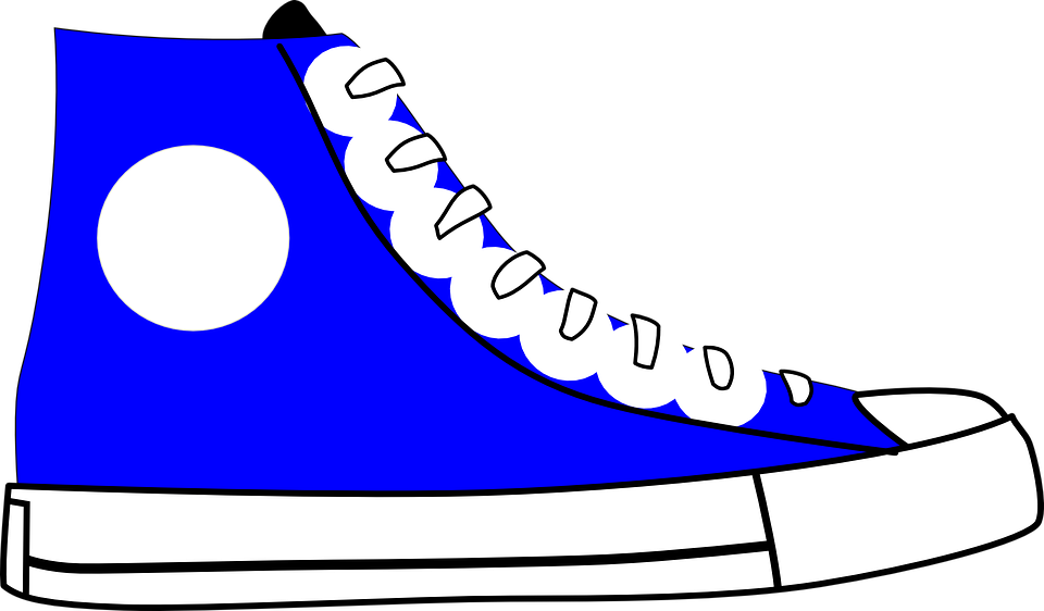 A Blue And White Shoe