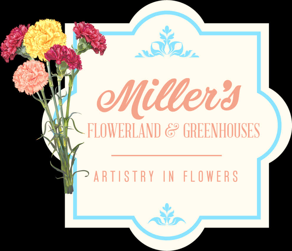 Alliance, Oh Florist - Garden Roses, Hd Png Download