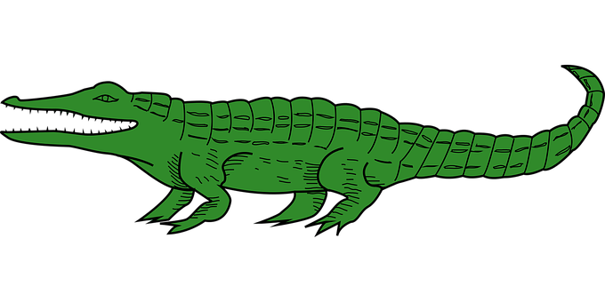 A Green Alligator On A Black Background