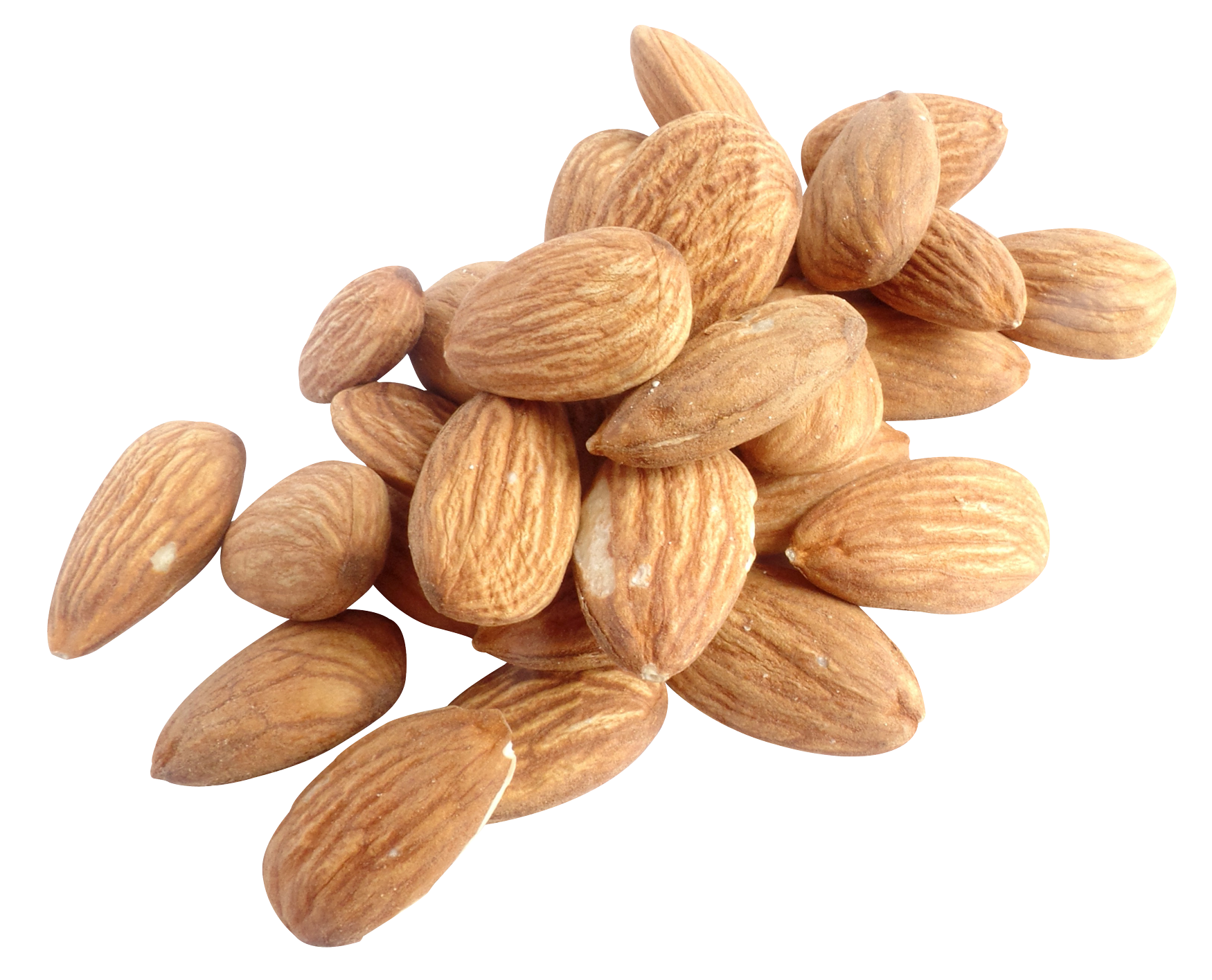Almond Png 1750 X 1415