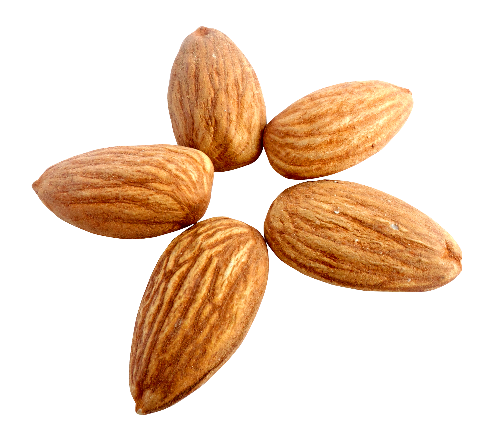 Almond Png 1700 X 1559