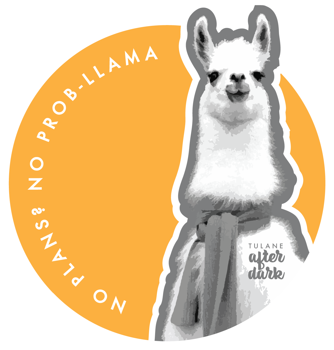 A White Llama With A Scarf Around Its Neck