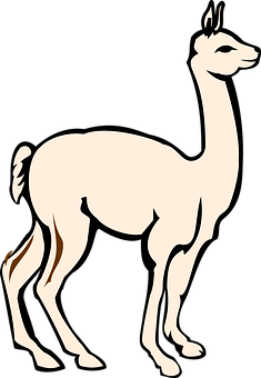 A White Llama With A Black Background