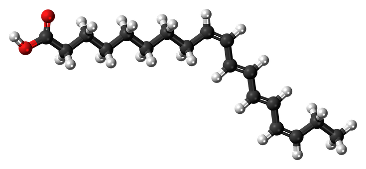 A Black And White Molecule Model