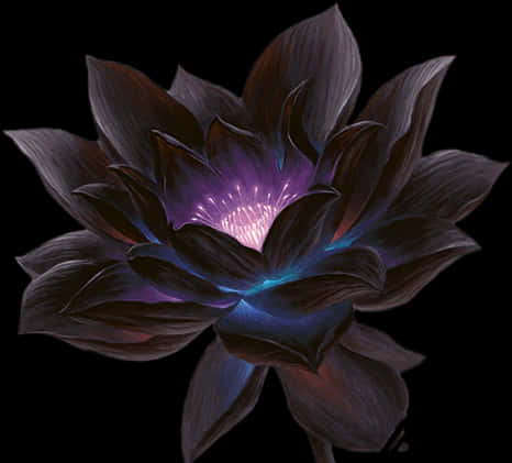 A Black Flower With Purple Light