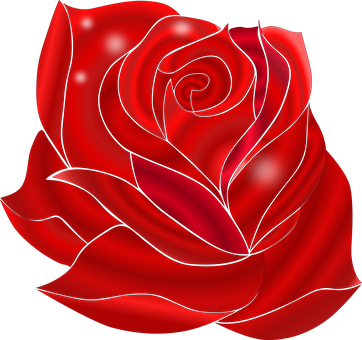 A Red Rose With Black Background