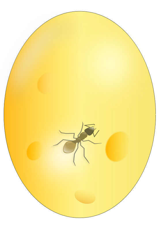 A Ant In A Yellow Egg