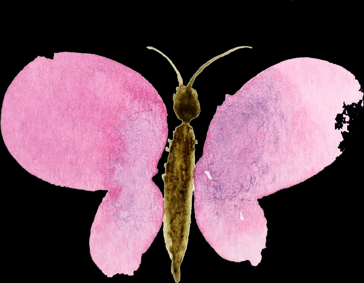 A Butterfly Painted With Pink Wings