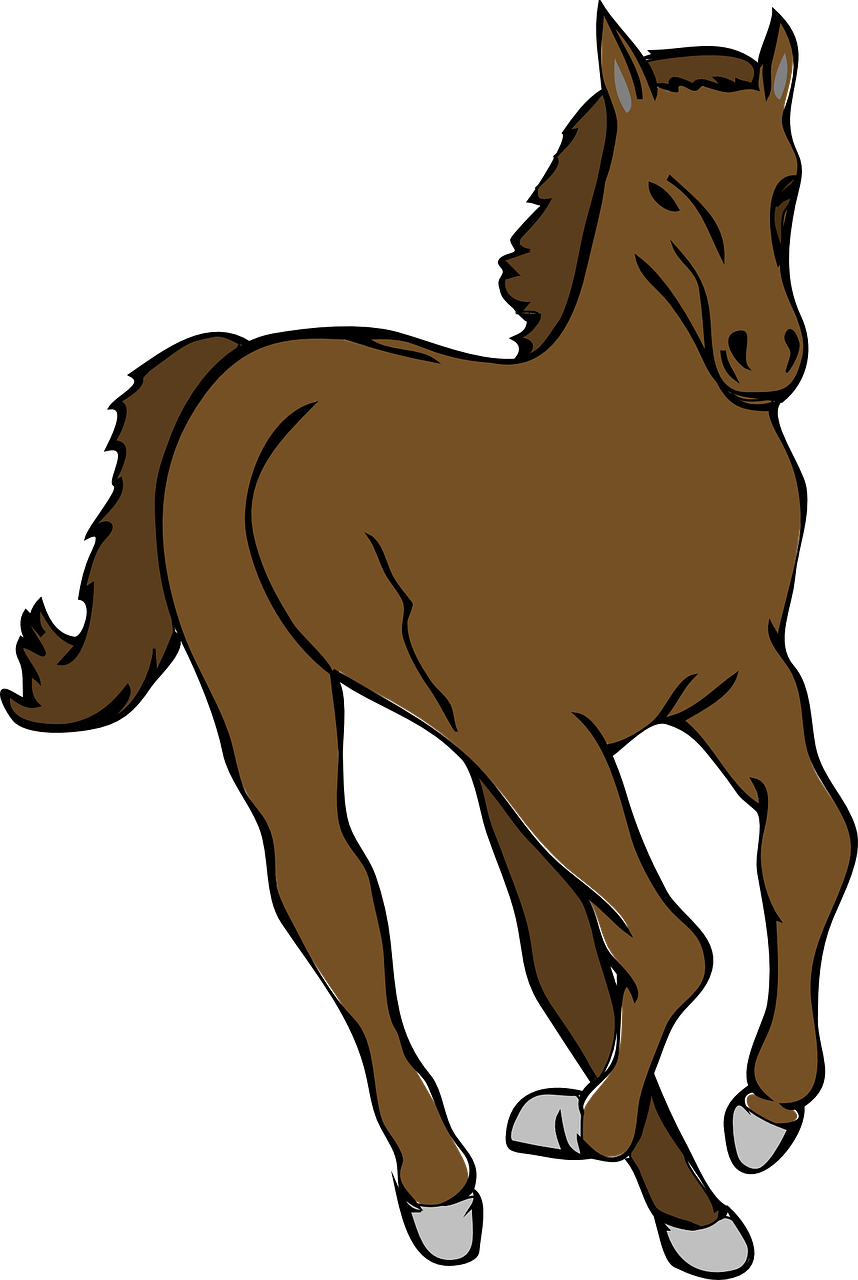 A Brown Horse With Black Background