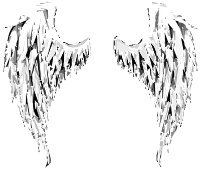 A Pair Of Wings With White Feathers