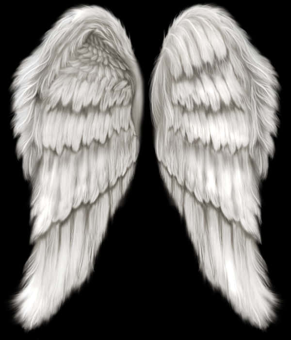 Angel Wings Png 600 X 700