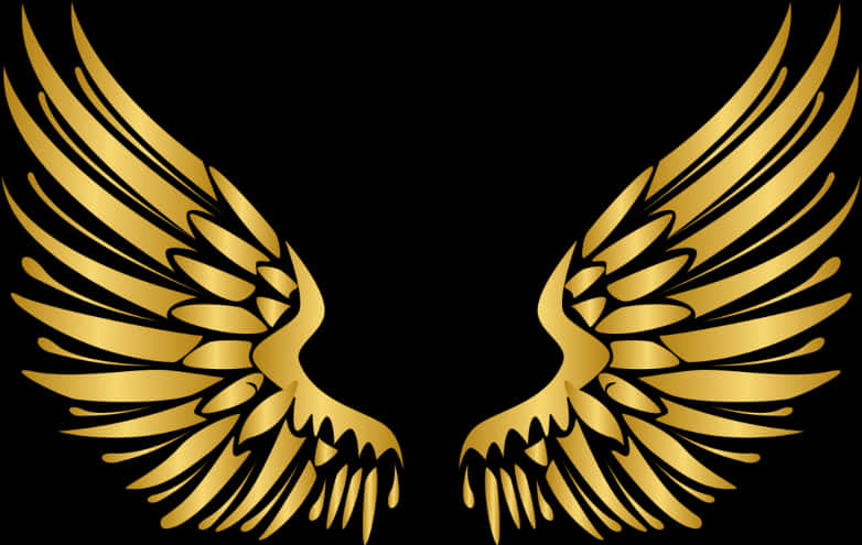 Angel Wings Png 782 X 495