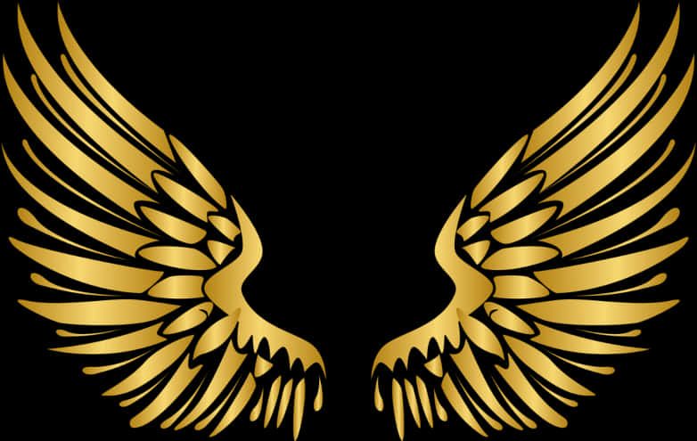 A Pair Of Gold Wings