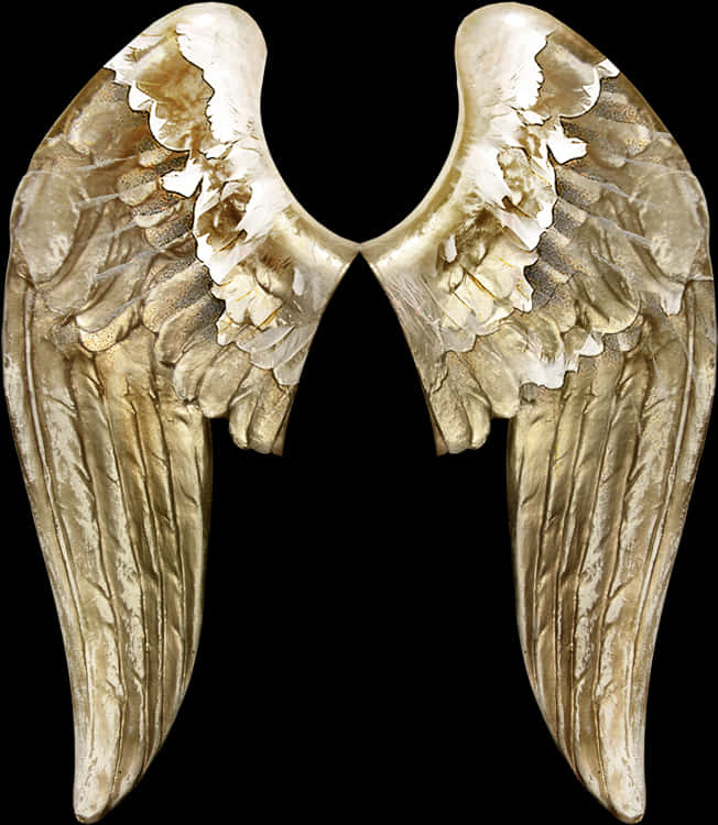 Angel Wings Png 652 X 750