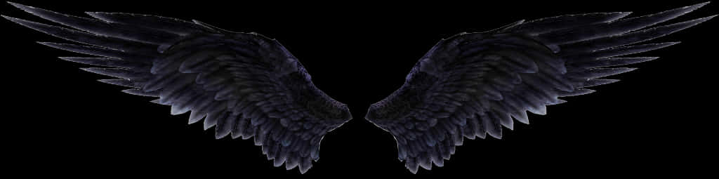 Angel Wings Png 1024 X 255