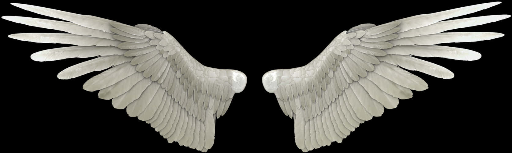 Angel Wings Png 1673 X 502