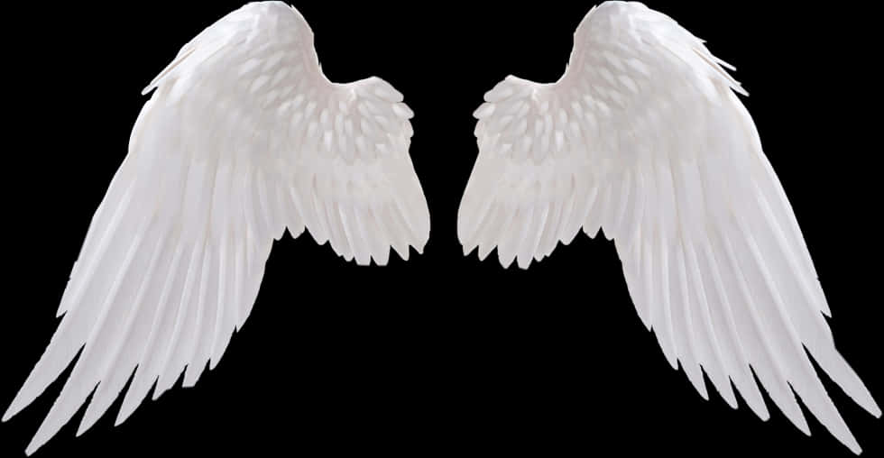 Angel Wings Png 980 X 508