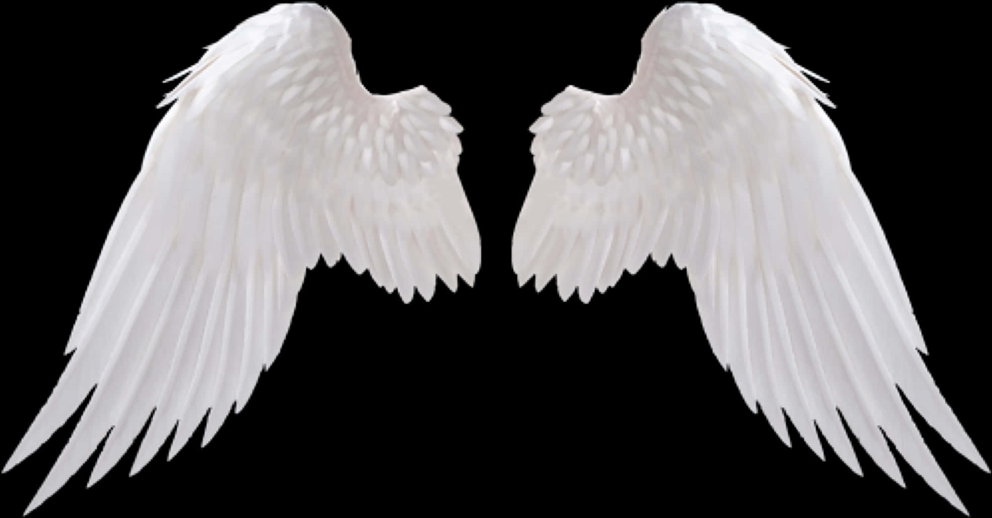 Angel Wings Png 1973 X 1031
