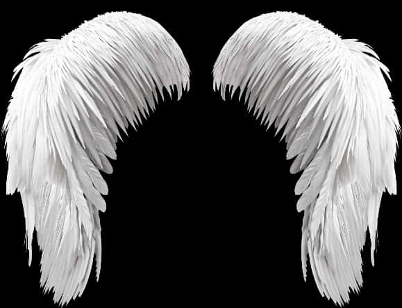 Angel Wings Png 579 X 443
