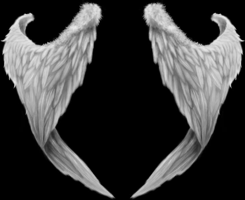 Angel Wings Png 847 X 692