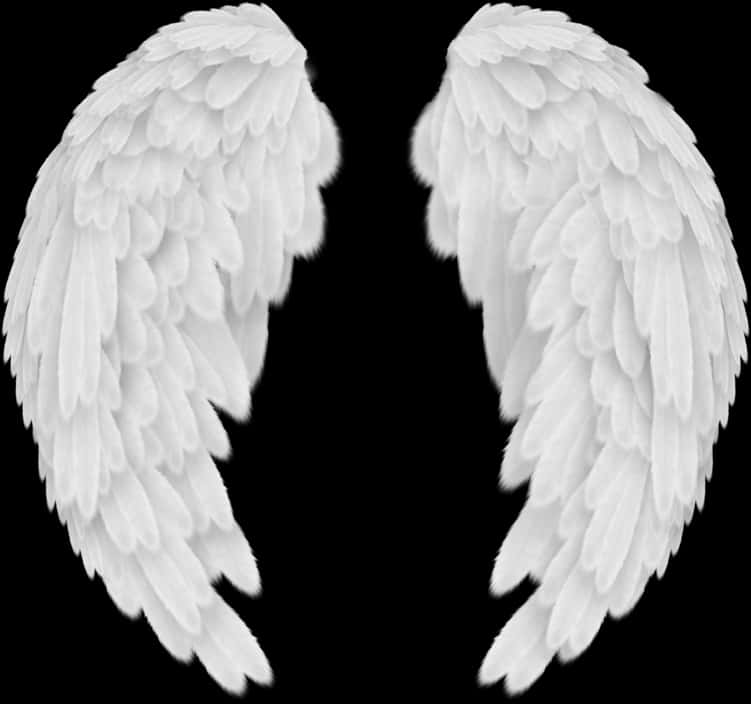 Angel Wings Png 751 X 704