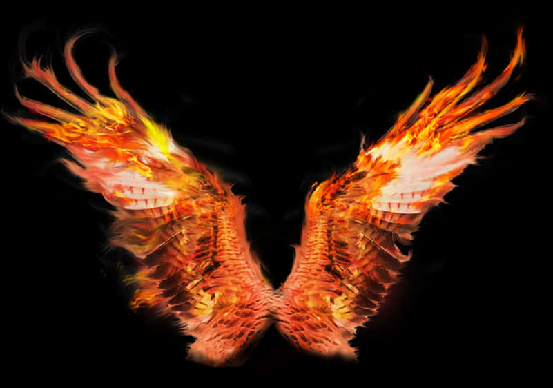 Angel Wings On Fire