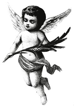 A Black And White Image Of A Baby Angel
