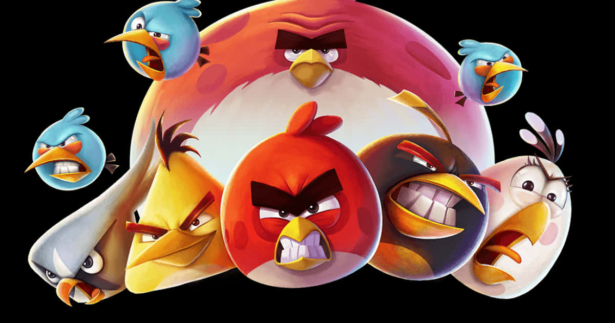 A Group Of Angry Birds