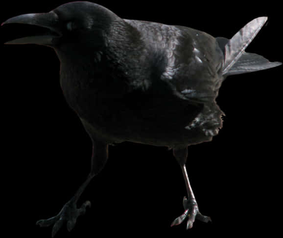 Angry Crow Png - Crow Face Transparent, Png Download